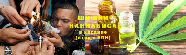 Альфа ПВП Алзамай