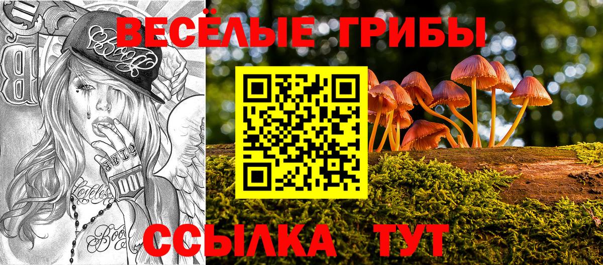 Псилоцибиновые грибы Cubensis Фролово