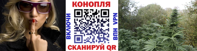 мориарти какой сайт  Фролово  Шишки марихуана Bruce Banner  закладки 